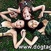   DOGTAG