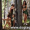   DOGTAG
