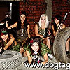   DOGTAG